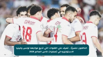 الناقلون حصريًا.. تعرف على القنوات التي تذيع مواجهة تونس وغينيا الاستوائية في تصفيات كأس العالم 2026